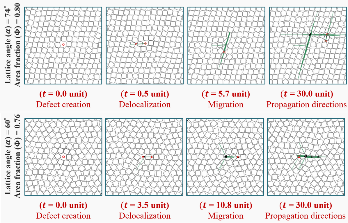 colloids